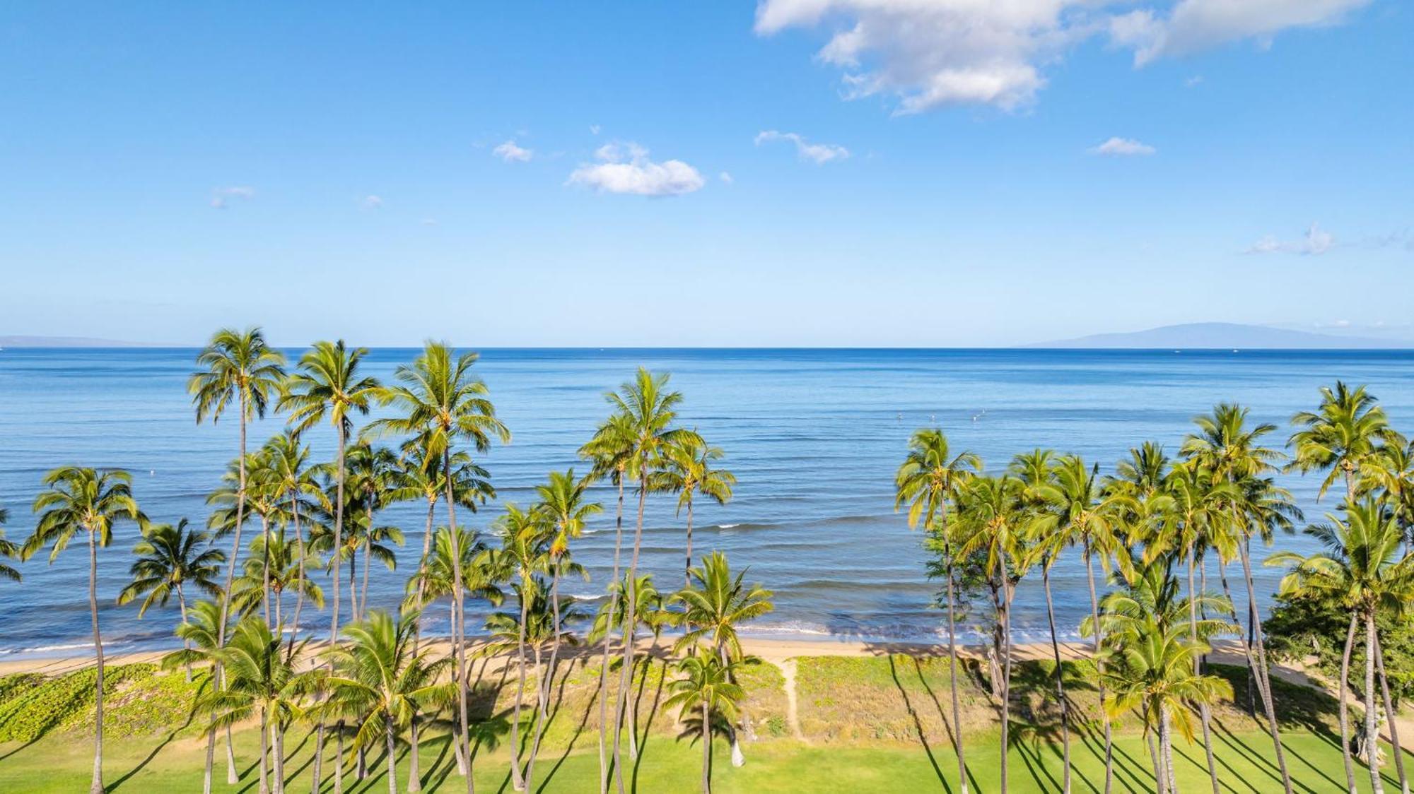 Hale Kai O'Kihei 317 Apartman Kültér fotó