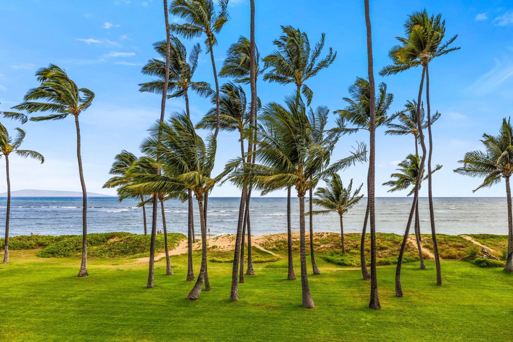 Hale Kai O'Kihei 317 Apartman Kültér fotó
